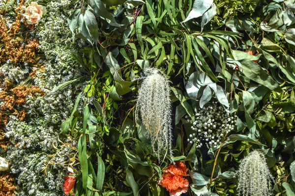 Festival de las Flores de Girona 