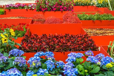 Festival de las Flores de Girona 