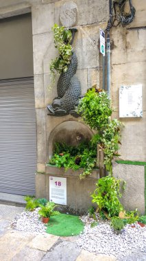 Festival de las Flores de Girona 