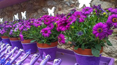 Festival de las Flores de Girona 