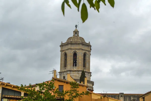 Festival Las Flores Girona Temps Flors Espaa 2021 — Stock Photo, Image