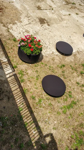 Festival de las Flores de Girona 