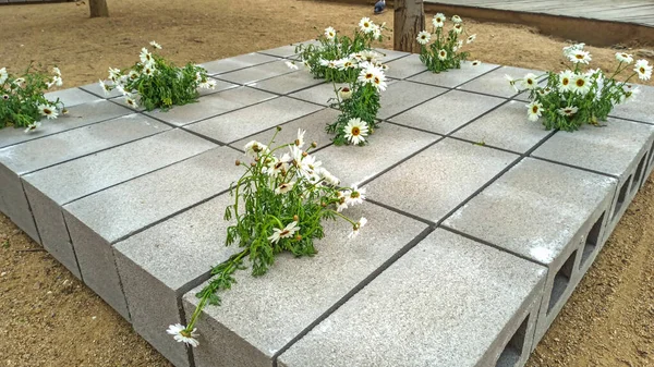 Festival de las Flores de Girona 