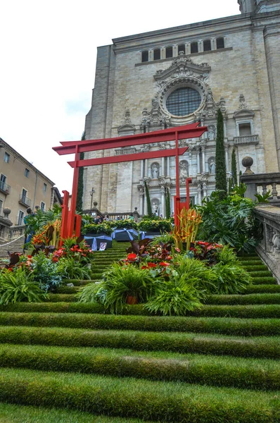 Festival Las Flores Girona Temps Flors Espaa 2021 Fotos de stock libres de derechos