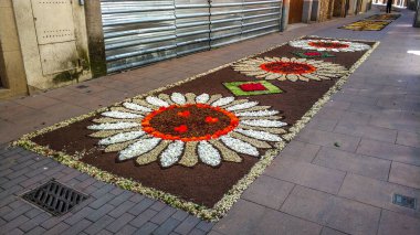 Alfombras de Flores naturales on el festival de Corpus Christi, Arbcies, Espaa, 2021