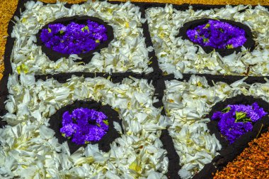 Alfombras de Flores naturales on el festival de Corpus Christi, Arbcies, Espaa, 2021