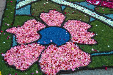 Alfombras de Flores naturales on el festival de Corpus Christi, Arbcies, Espaa, 2021