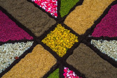 Alfombras de Flores naturales on el festival de Corpus Christi, Arbcies, Espaa, 2021