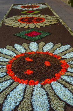Alfombras de Flores naturales on el festival de Corpus Christi, Arbcies, Espaa, 2021