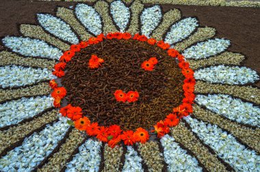 Alfombras de Flores naturales on el festival de Corpus Christi, Arbcies, Espaa, 2021