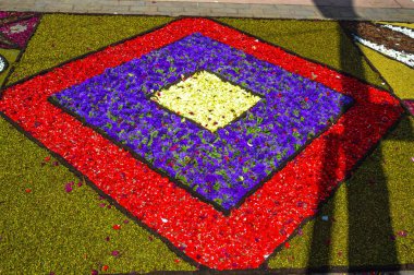 Alfombras de Flores naturales on el festival de Corpus Christi, Arbcies, Espaa, 2021