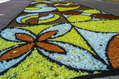 Alfombras de Flores naturales on el festival de Corpus Christi, Arbcies, Espaa, 2021