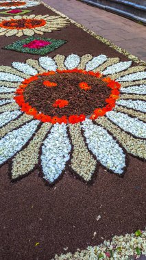 Alfombras de Flores naturales on el festival de Corpus Christi, Arbcies, Espaa, 2021