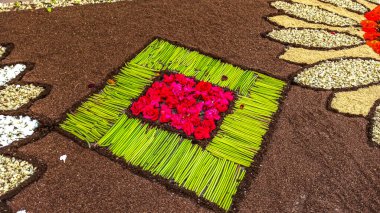 Alfombras de Flores naturales on el festival de Corpus Christi, Arbcies, Espaa, 2021