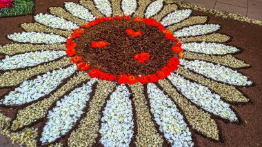 Alfombras de Flores naturales on el festival de Corpus Christi, Arbcies, Espaa, 2021