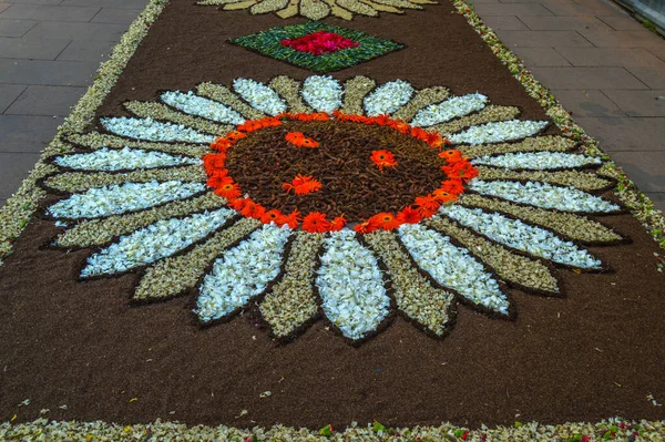 Alfombras de Flores naturales on el festival de Corpus Christi, Arbcies, Espaa, 2021