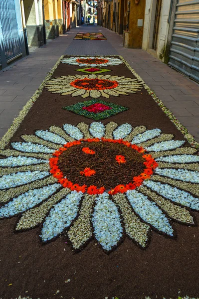 Alfombras Flores Naturales Festival Corpus Christi Arbcies Spanien 2021 — Stockfoto