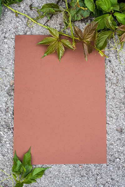 List papíru na chodníku — Stock fotografie