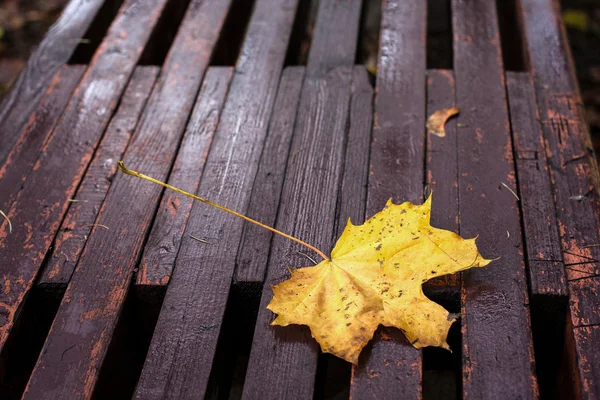 Leaf on the bench — Stock Photo, Image