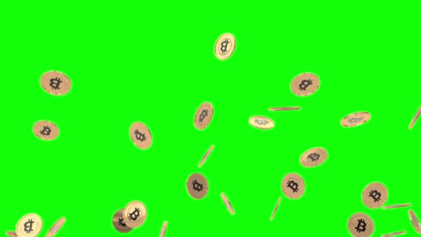 Gedetailleerde bitcoin animatie bundel op greenscreen — Stockvideo