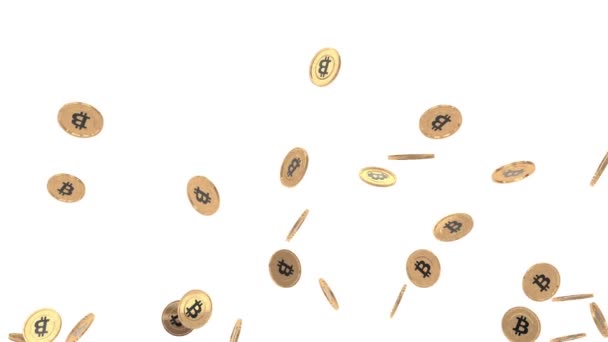 Detaljerad bitcoin animation bundle — Stockvideo