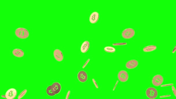 Bitcoin animasyon paketi yeşil ekran üzerinde — Stok video