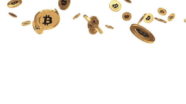 Lluvia de Bitcoin sobre blanco — Vídeo de stock