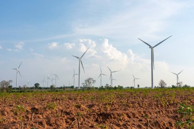 Rüzgar türbinleri, yenilenebilir enerji, Huai Bong Rüzgar Çiftliği Dan Khun Thot Nakhon Ratchasima Eyaleti, Tayland ve Cassava ağaçları var.