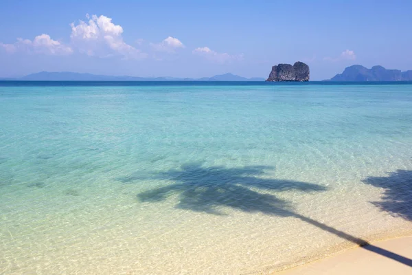 Ombra Albero Cocco Una Bellissima Spiaggia Tropicale Koh Ngai Provincia — Foto Stock