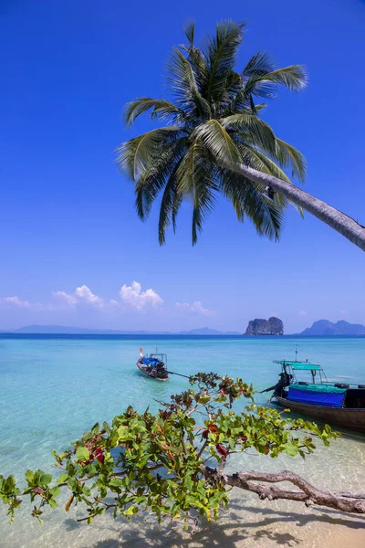 Praias Bonitas Koh Ngai Sul Costa Andaman Província Krabi Tailândia — Fotografia de Stock