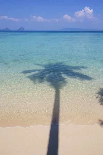 Sombra Coqueiro Uma Bela Praia Tropical Koh Ngai Província Krabi — Fotografia de Stock