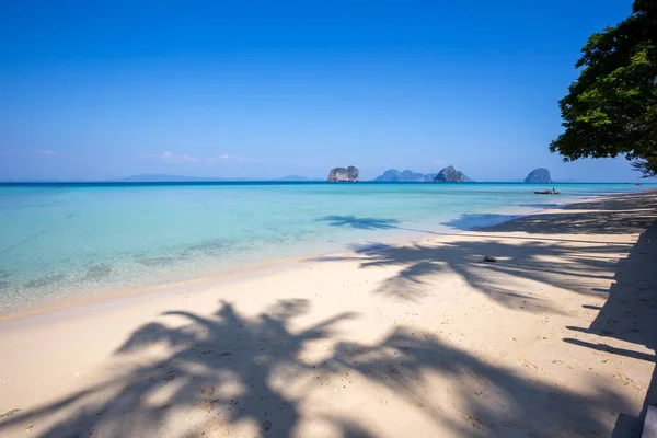 Shadow Coconut Tree Beautiful Tropical Beach Koh Ngai Krabi Province — Stock Photo, Image