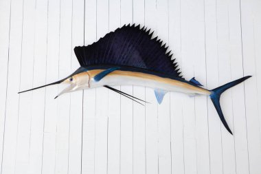 Duvardaki balık modeli, beyaz ahşap duvarda asılı yapay ya da sahte balık modeli, güzellik için dekorasyon.