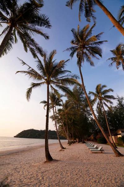 Coqueiros Praias Brancas Com Mar Verde Férias Klong Chao Beach — Fotografia de Stock
