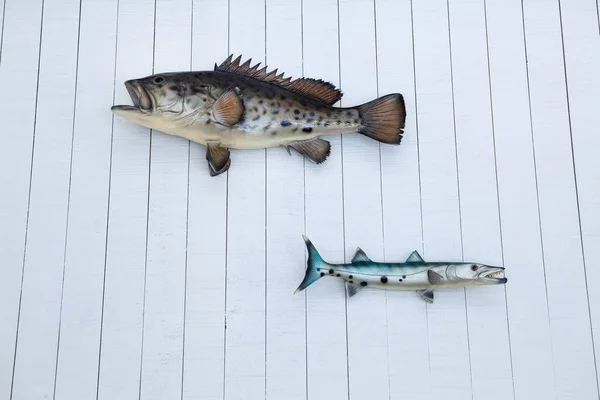 壁に魚のモデル 人工または偽の魚モデルは 白い色の木製の壁にかかって 美しさのための装飾 — ストック写真