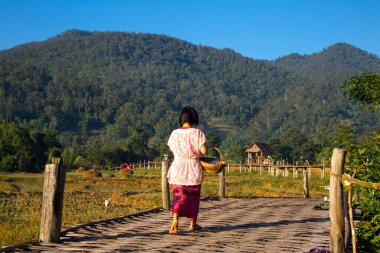 Ünlü Boon Ko Ku So (Kho-Ku-So) bambu köprüsünün çarpıcı manzarası. Pirinç tarlasında yürüyen bir turist.