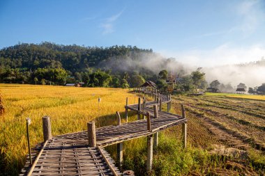 Güzel sabah ışığı Boon Kho Ku So Köprüsü Pam Bok Köyü, Thung Yao Alt Bölgesi, Pai Bölgesi, Mae Hong Son Eyaleti.