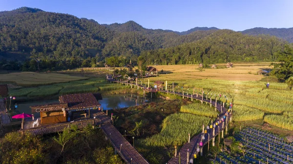 Zdjęcie Lotnicze Drone Piękne Krajobrazy Górskie Most Bambusowy Bun Most — Zdjęcie stockowe