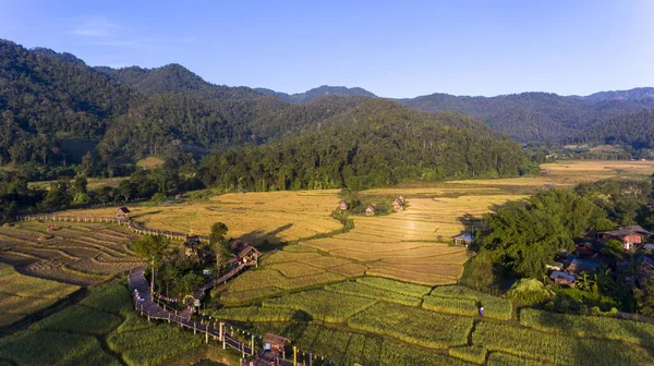 Luchtfoto Drone Prachtige Berglandschap Bamboe Brug Bun Brug Caucus Rijstvelden — Stockfoto