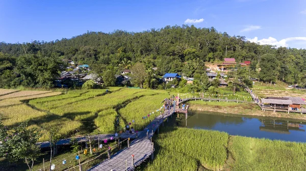 空中写真ドローン 美しい山の風景や竹の橋 バン橋や原因 渓谷の屋外の黄金の黄色の自然界の田んぼの上に メーホンソン タイの旅行 — ストック写真