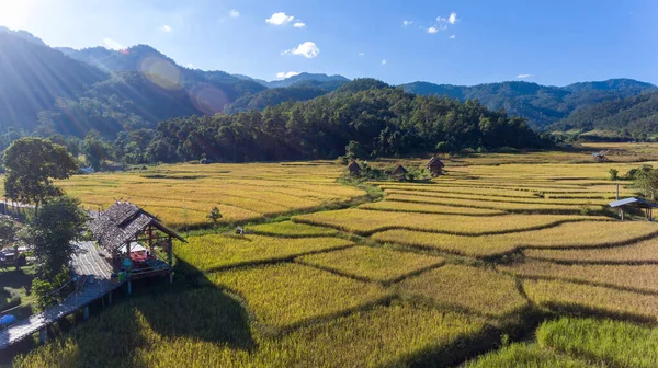 空中写真ドローン 美しい山の風景や竹の橋 バン橋や原因 渓谷の屋外の黄金の黄色の自然界の田んぼの上に メーホンソン タイの旅行 — ストック写真