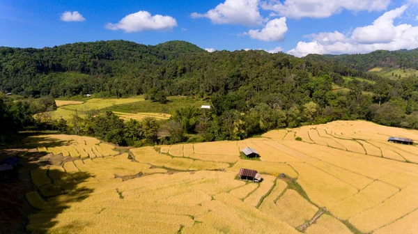 Letecký Snímek Dron Zelená Terasovitá Rýžová Pole Chata Během Období — Stock fotografie