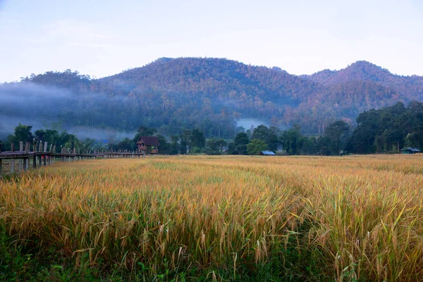 美しい朝の光Boon Kho Bridgeは メーホンソン省パイ地区のThung Yao Subdistrict Pam Book Villageに位置しています — ストック写真