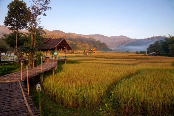 美しい朝の光Boon Kho Bridgeは メーホンソン省パイ地区のThung Yao Subdistrict Pam Book Villageに位置しています — ストック写真