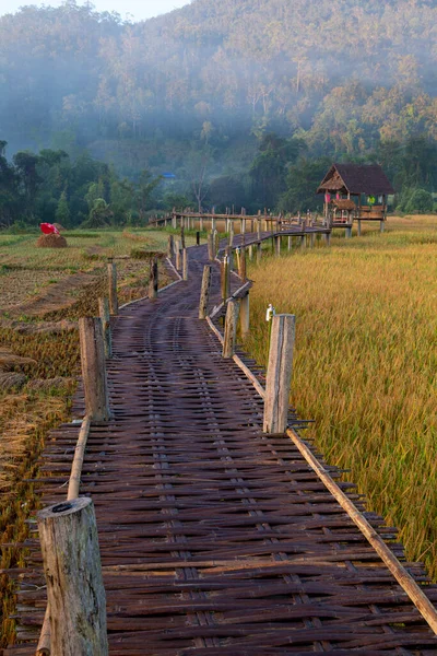 Hermosa Luz Mañana Boon Kho Bridge Encuentra Pam Bok Village — Foto de Stock