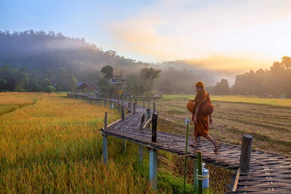 Güzel Sabah Işığı Boon Kho Köprüsü Pam Bok Köyü Thung — Stok fotoğraf