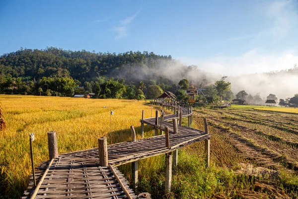 Güzel Sabah Işığı Boon Kho Köprüsü Pam Bok Köyü Thung — Stok fotoğraf
