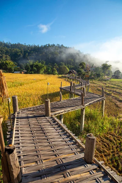 美しい朝の光Boon Kho Bridgeは メーホンソン省パイ地区のThung Yao Subdistrict Pam Book Villageに位置しています — ストック写真