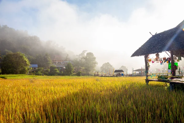 Vacker Morgon Ljus Boon Kho Bron Ligger Pam Bok Village — Stockfoto