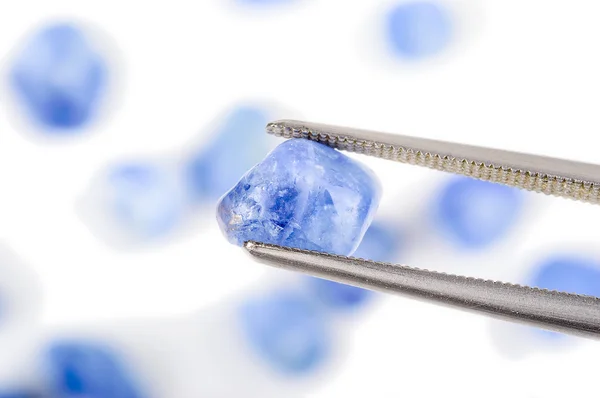 Blue sapphire dipegang oleh twezer — Stok Foto